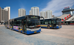 金手杖国际养老公寓26年根基归纳综合-价钱小贴