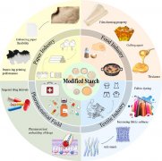 化物所颁发超声辅帮改性淀粉综述文章